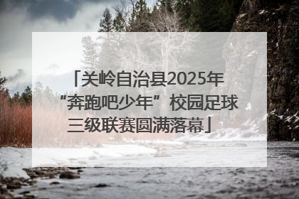 关岭自治县2025年“奔跑吧少年”校园足球三级联赛圆满落幕