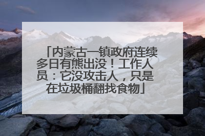 内蒙古一镇政府连续多日有熊出没！工作人员：它没攻击人，只是在垃圾桶翻找食物