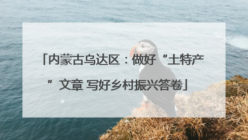 内蒙古乌达区：做好“土特产”文章 写好乡村振兴答卷