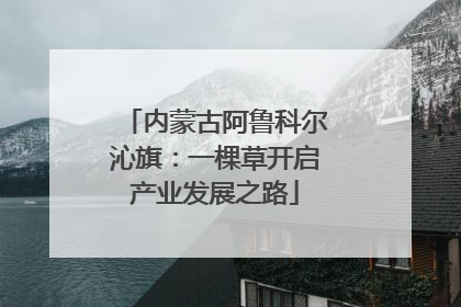 内蒙古阿鲁科尔沁旗：一棵草开启产业发展之路