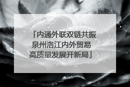 内通外联双链共振 泉州洛江内外贸易高质量发展开新局