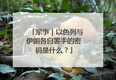 军事｜以色列与伊朗各自罢手的密码是什么？