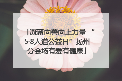 凝聚向善向上力量 “5·8人道公益日”扬州分会场有爱有健康