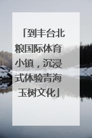 到丰台北粮国际体育小镇，沉浸式体验青海玉树文化