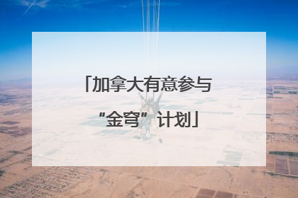 加拿大有意参与“金穹”计划
