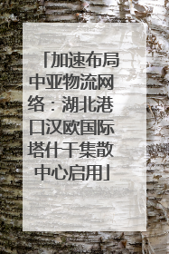 加速布局中亚物流网络：湖北港口汉欧国际塔什干集散中心启用