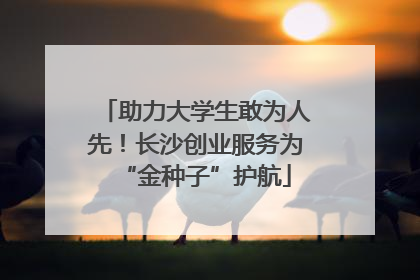 助力大学生敢为人先！长沙创业服务为“金种子”护航