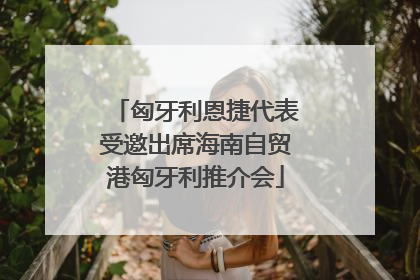 匈牙利恩捷代表受邀出席海南自贸港匈牙利推介会