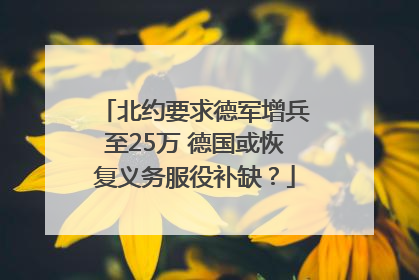 北约要求德军增兵至25万 德国或恢复义务服役补缺？