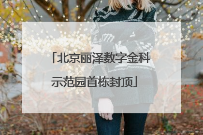 北京丽泽数字金科示范园首栋封顶