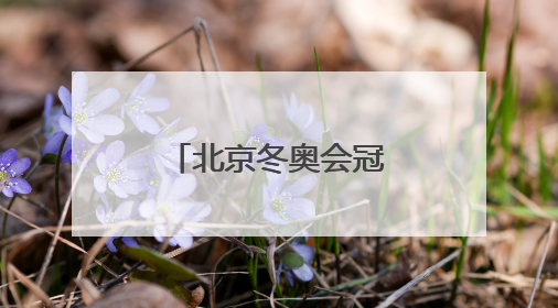 北京冬奥会冠军隋文静/韩聪即将重返赛场