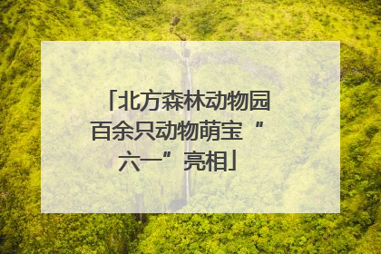 北方森林动物园百余只动物萌宝“六一”亮相
