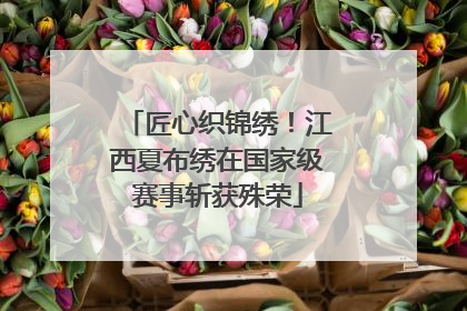 匠心织锦绣！江西夏布绣在国家级赛事斩获殊荣