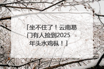 坐不住了！云南易门有人捡到2025年头水鸡枞！