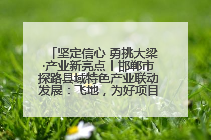 坚定信心 勇挑大梁·产业新亮点丨邯郸市探路县域特色产业联动发展：飞地，为好项目跨域安个家