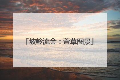 坡岭流金：萱草图景