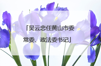吴云忠任黄山市委常委、政法委书记