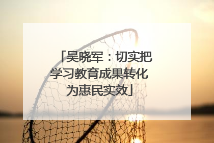 吴晓军：切实把学习教育成果转化为惠民实效