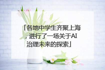 各地中学生齐聚上海，进行了一场关于AI治理未来的探索