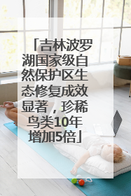 吉林波罗湖国家级自然保护区生态修复成效显著，珍稀鸟类10年增加5倍
