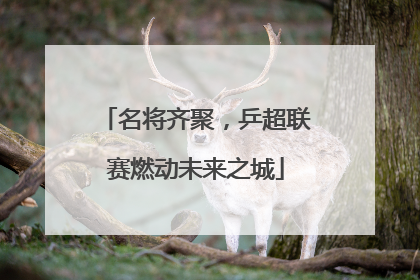 名将齐聚，乒超联赛燃动未来之城