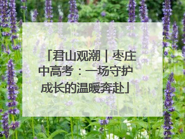 君山观潮｜枣庄中高考：一场守护成长的温暖奔赴