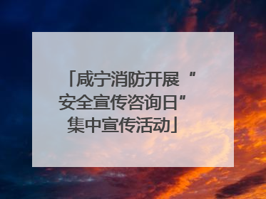 咸宁消防开展“安全宣传咨询日”集中宣传活动