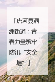 唐河县泗洲街道：青春力量筑牢防汛“安全堤”