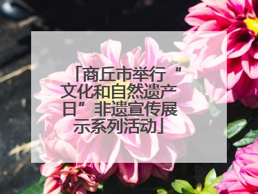 商丘市举行“文化和自然遗产日”非遗宣传展示系列活动