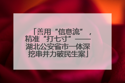 善用“信息流”，精准“打七寸”——湖北公安省市一体深挖串并力破民生案