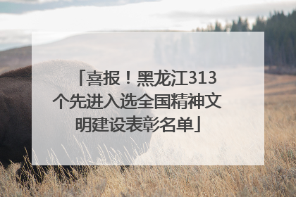 喜报！黑龙江313个先进入选全国精神文明建设表彰名单