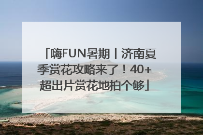 嗨FUN暑期丨济南夏季赏花攻略来了！40+超出片赏花地拍个够