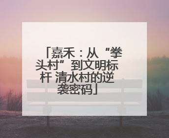 嘉禾：从“拳头村”到文明标杆 清水村的逆袭密码