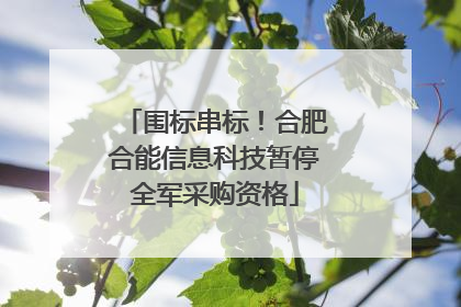 围标串标！合肥合能信息科技暂停全军采购资格