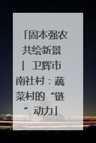 固本强农 共绘新景 ︳卫辉市南社村：蔬菜村的“链”动力