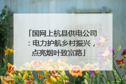 国网上杭县供电公司：电力护航乡村振兴，点亮烟叶致富路