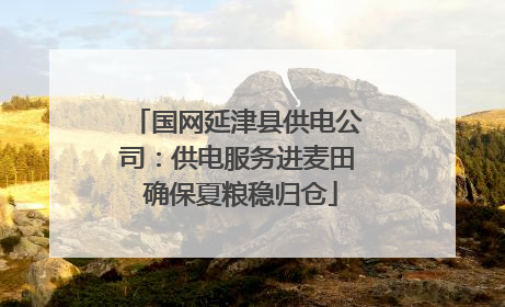 国网延津县供电公司：供电服务进麦田 确保夏粮稳归仓