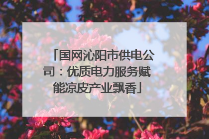 国网沁阳市供电公司：优质电力服务赋能凉皮产业飘香