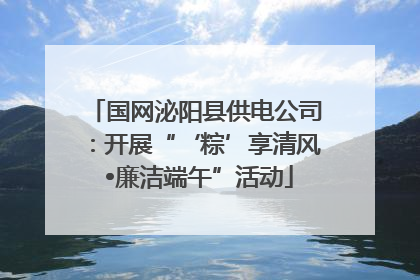 国网泌阳县供电公司：开展“‘粽’享清风 •廉洁端午”活动