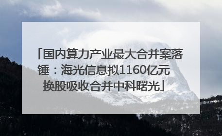 国内算力产业最大合并案落锤：海光信息拟1160亿元换股吸收合并中科曙光
