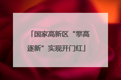 国家高新区“攀高逐新”实现开门红
