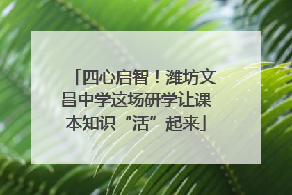 四心启智！潍坊文昌中学这场研学让课本知识“活”起来