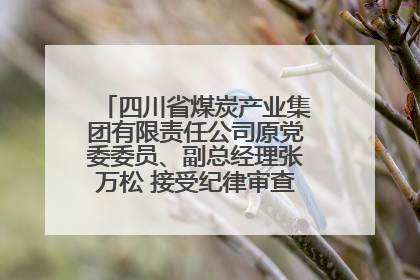 四川省煤炭产业集团有限责任公司原党委委员、副总经理张万松 接受纪律审查和监察调查
