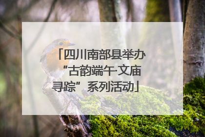 四川南部县举办“古韵端午·文庙寻踪”系列活动