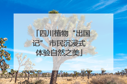 四川植物“出国记” 市民沉浸式体验自然之美