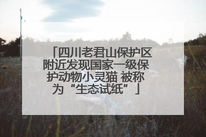 四川老君山保护区附近发现国家一级保护动物小灵猫 被称为“生态试纸”