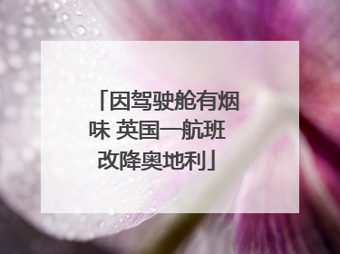 因驾驶舱有烟味 英国一航班改降奥地利