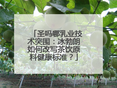 圣吗哪乳业技术突围：冰勃朗如何改写茶饮原料健康标准？