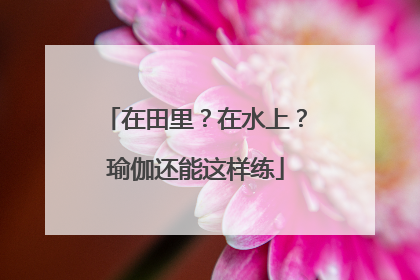 在田里？在水上？瑜伽还能这样练