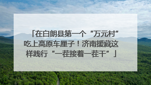 在白朗县第一个“万元村”吃上高原车厘子！济南援藏这样践行“一茬接着一茬干”
